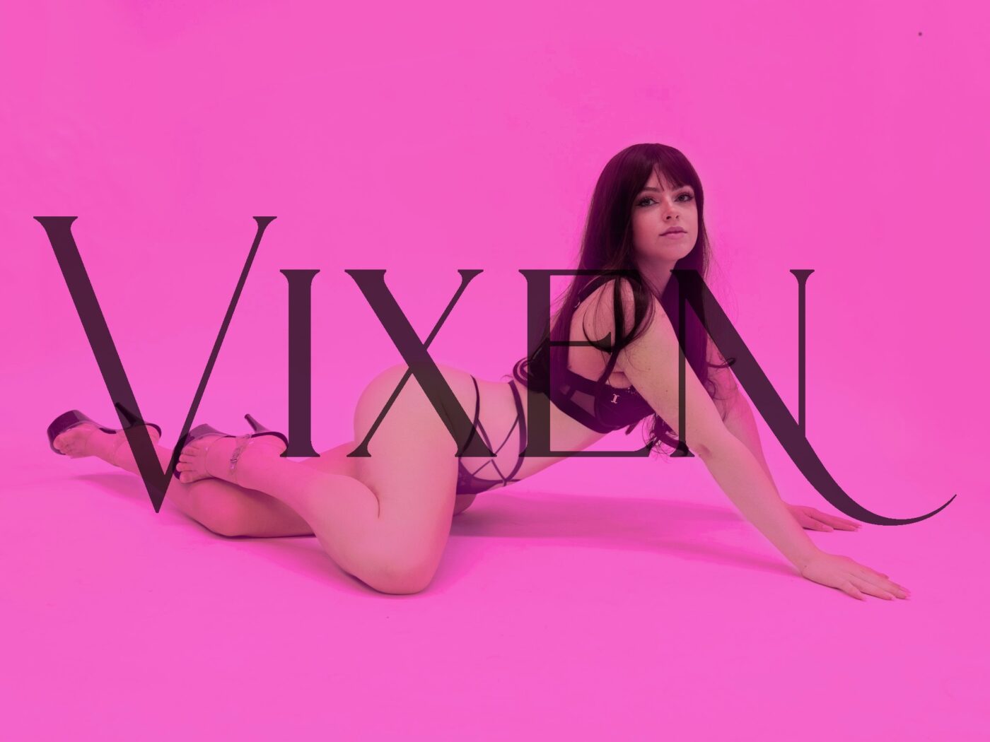 Club Vixen AAIA Nominee