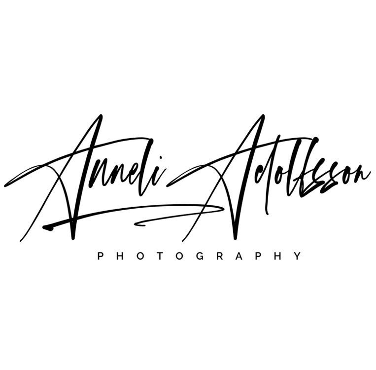 Anneli Adolfsson AAIA Sponsor